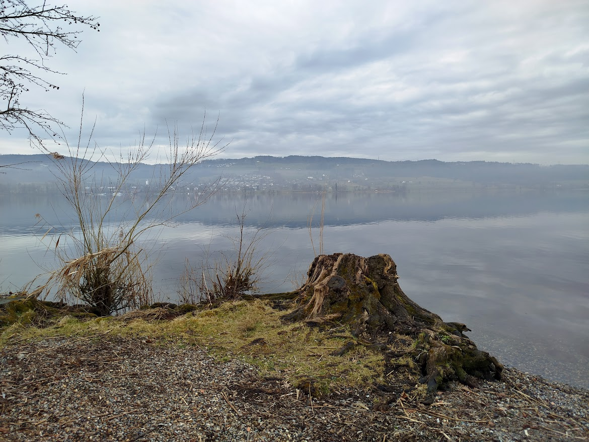 Fünf Jahre fern der Heimat